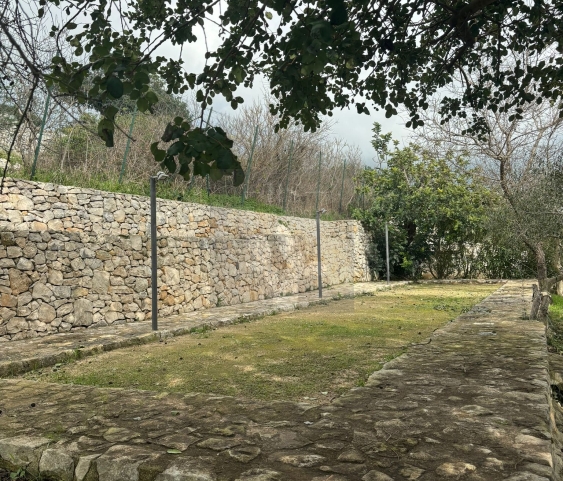 campo bocce